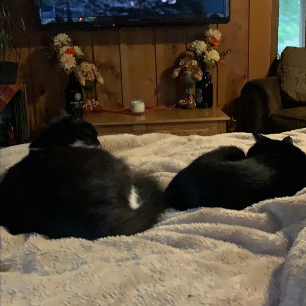 Meet your Posher, Kimberly